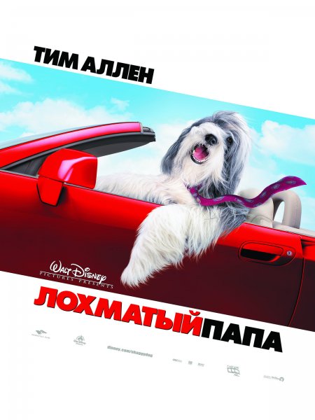 Shaggy Dog, The poster